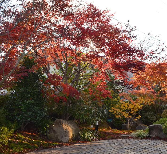 緑治園